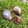 Bronzit (Ferro-Enstatit) Trommelstein