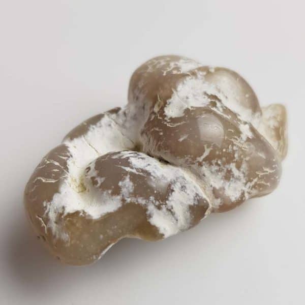 Schlangenhautachat (Chalcedon) Gr.L-XL