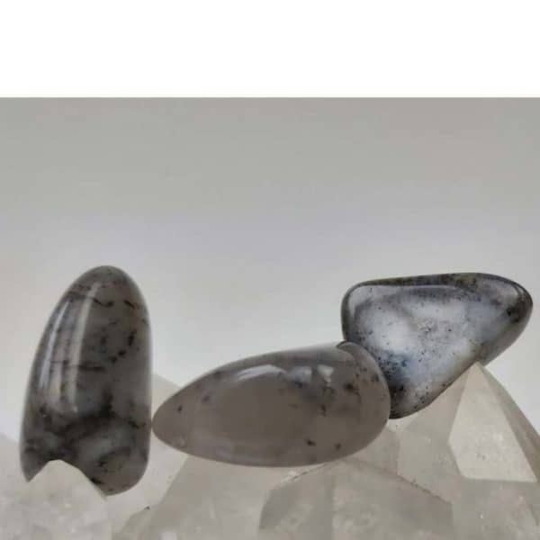 Dendritenopal Trommelstein Gr.L