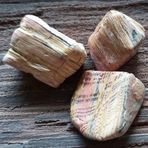 Versteinertes Holz Trommelsteine Heilsteine kaufen