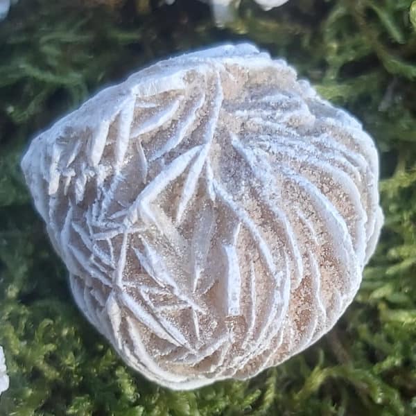 Sandrose aus Mexico klein – Bild 4