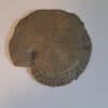 Pyritsonne natur ca. 7cm – Bild 3