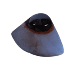 Achat Augenachat Trommelstein