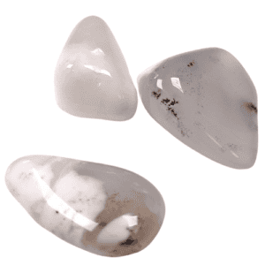 Achat Dendritenachat Trommelstein