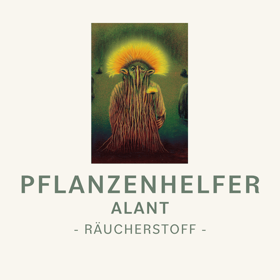 Pflanzenhelfer Räucherstoff Symbolbild Alant