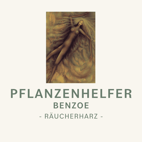 Pflanzenhelfer Räucherstoff Benzoe Symbolbild