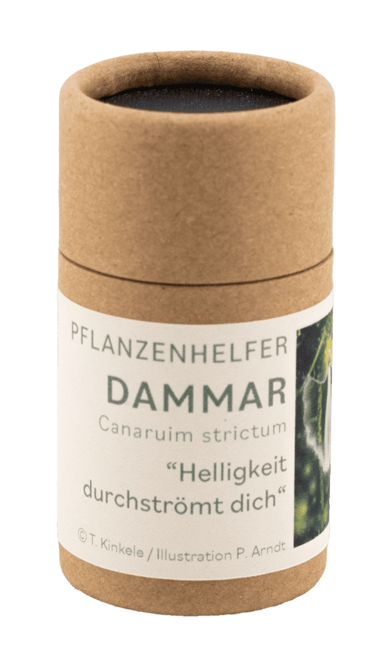 Pflanzenhelfer Räucherstoff Dammar Pappdose