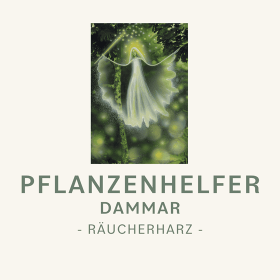 Pflanzenhelfer Räucherharz Dammar Symbolbild