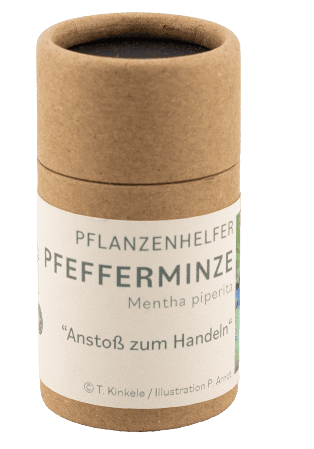 Pfefferminze naturreines Räucherwerk Dose