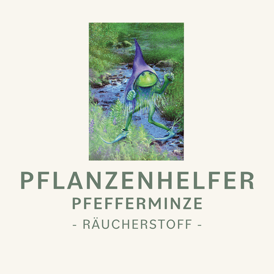 Pfefferminze naturreines Räucherwerk Symbolbild