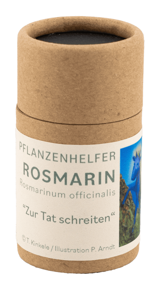 Rosmarin naturreines Räucherwerk Dose