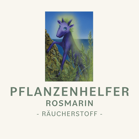Rosmarin naturreines Räucherwerk Symbolbild