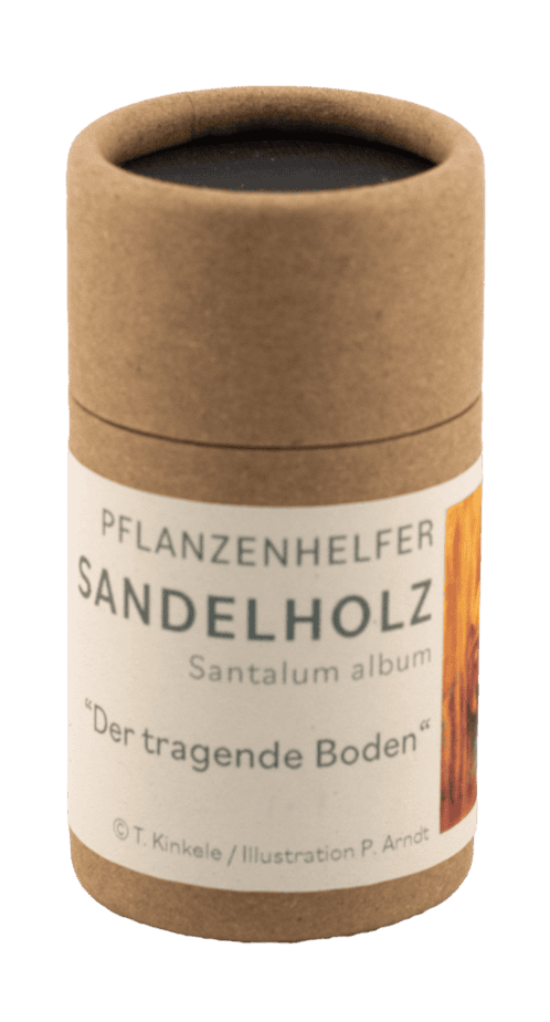 Sandelholz naturreines Räucherwerk Dose