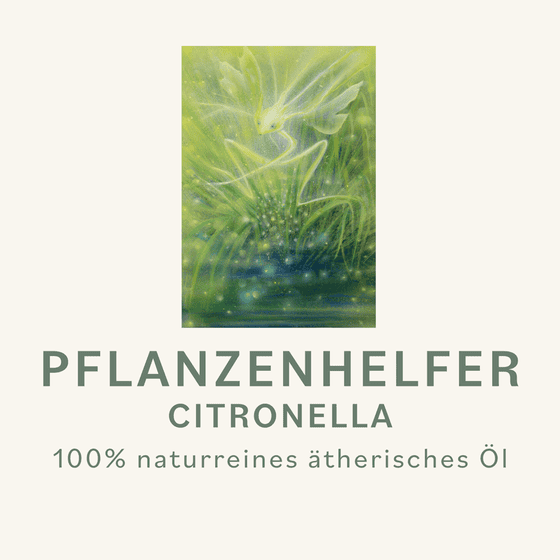 Citronella Pflanzenhelfer Öl - 10ml - Indien konv. – Bild 3