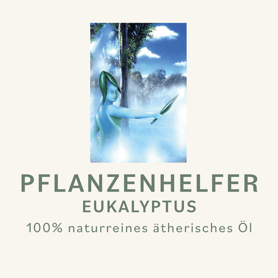 Eukalyptus Pflanzenhelfer Öl - 10ml - Portugal WW – Bild 3