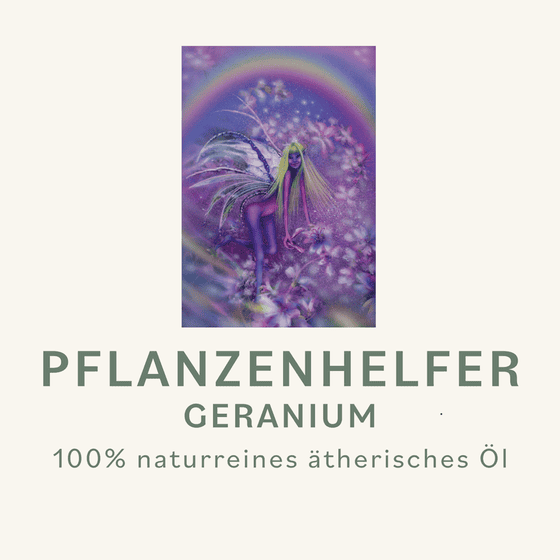 Geranium Pflanzenhelfer Öl - 10ml - Réunion konv. – Bild 3
