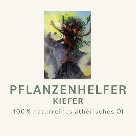 Kiefer Pflanzenhelfer Öl - 10ml - Kanada konv. – Bild 3