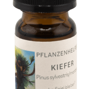 Kiefer Pflanzenhelfer Öl - 10ml - Kanada konv.