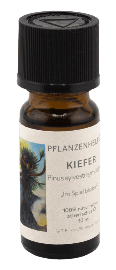 Kiefer Pflanzenhelfer Öl - 10ml - Kanada konv.