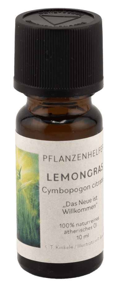 Lemongras Pflanzenhelfer Öl - 10ml - Guatemala WW