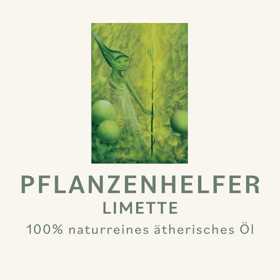 Limette Pflanzenhelfer Öl - 10ml - Mexico/Italien konv. – Bild 3