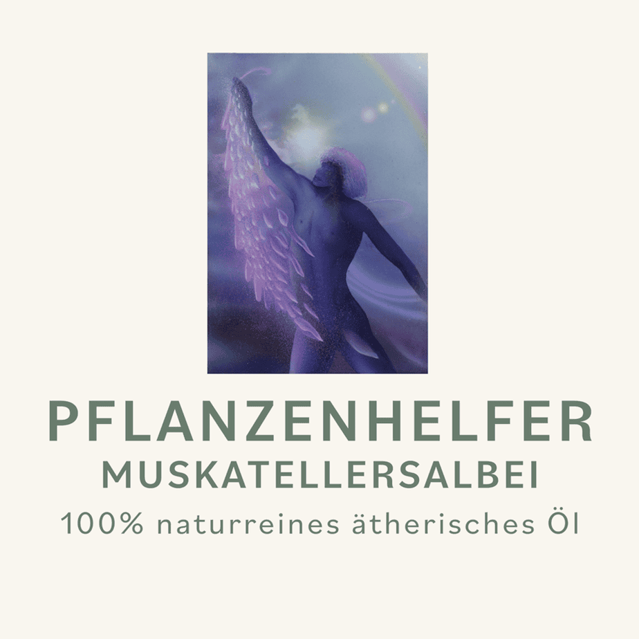 Muskatellersalbei Pflanzenhelfer Öl - 10ml - Frankreich WW – Bild 3