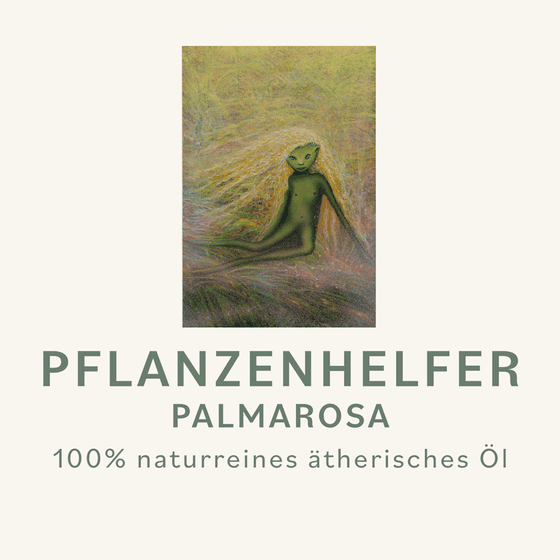 Palmarosa Pflanzenhelfer Öl - 10ml - Ostindien konv. – Bild 3