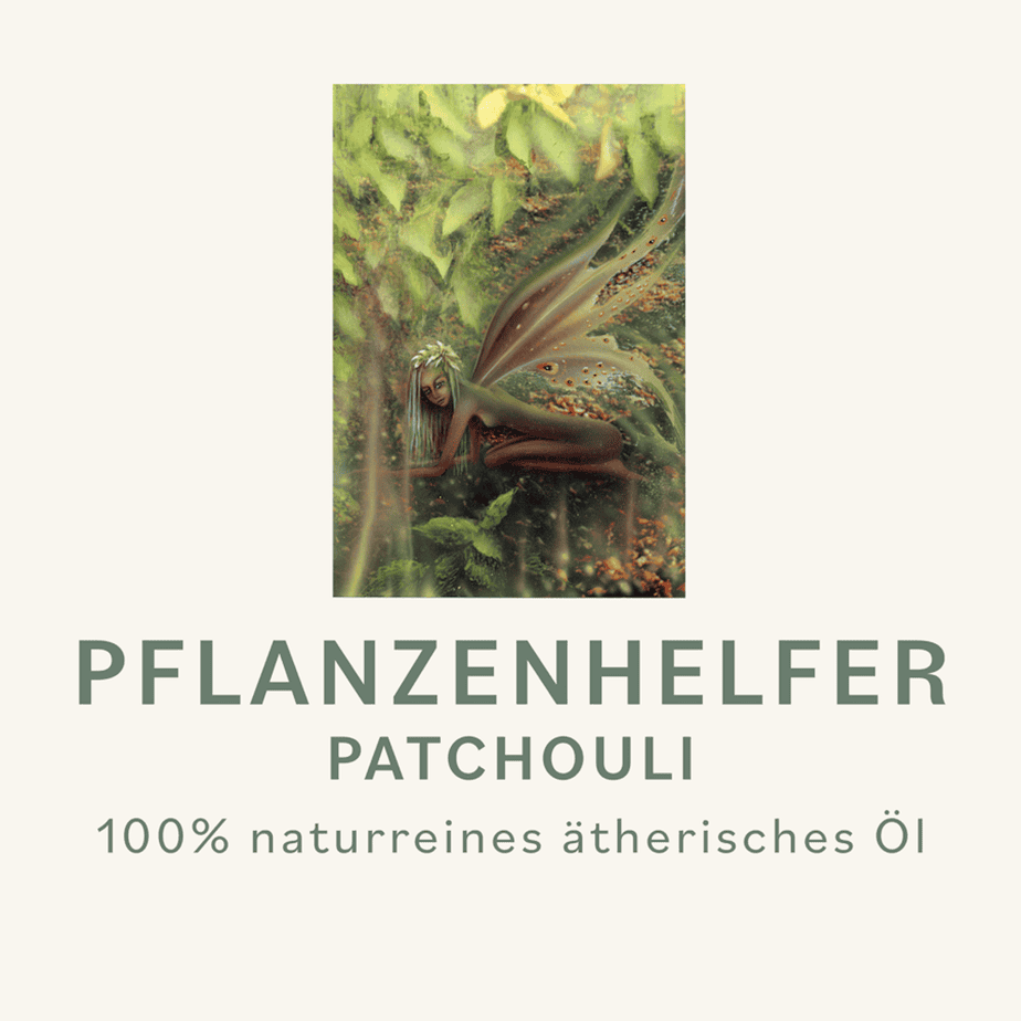 Patchouli Pflanzenhelfer Öl - 10ml - Indonesien WW – Bild 2