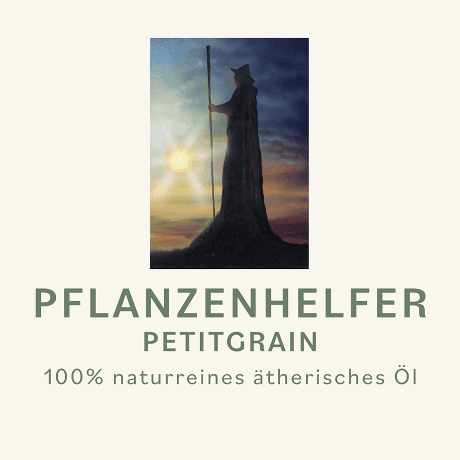 Petitgrain Pflanzenhelfer ÖL - 10ml - Paraguay konv. – Bild 3