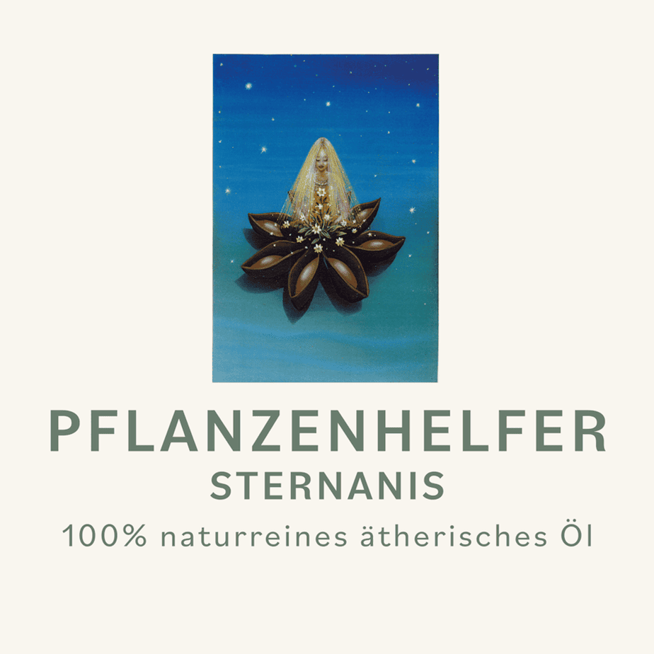 Sternanis Pflanzenhelfer Öl - 10ml - konv. – Bild 3