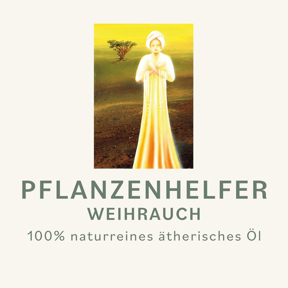Weihrauch Pflanzenhelfer Öl - 10ml - 100% naturrein – Bild 3