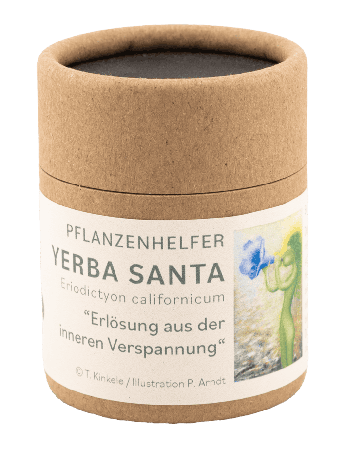 Yerba Santa naturreines Räucherwerk Dose