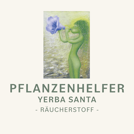 Yerba Santa naturreines Räucherwerk Symbolbild
