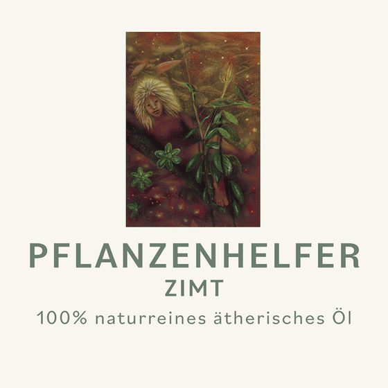 Zimt Pflanzenhelfer Öl - 10ml - konv. – Bild 3