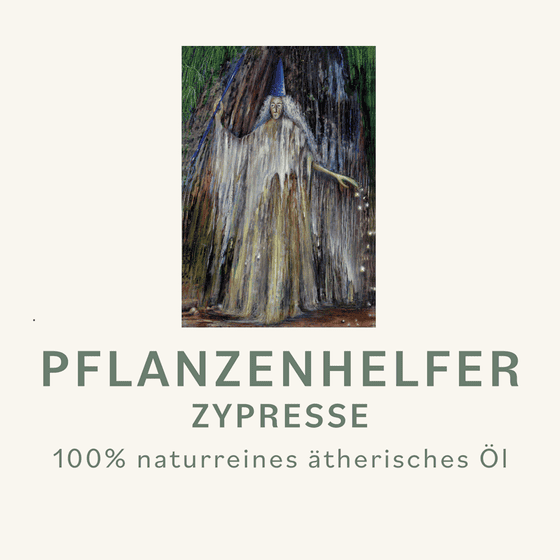 Zypresse Pflanzenhelfer Öl - 10ml - 100% naturrein – Bild 3